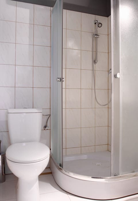 Triple Room | Bathroom | Shower, hair dryer, towels