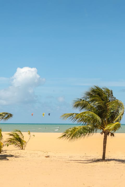 On the beach, white sand