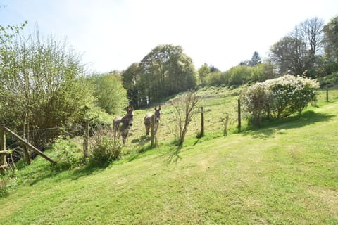 Immediate Surroundings [summer] (&lt;1 km)