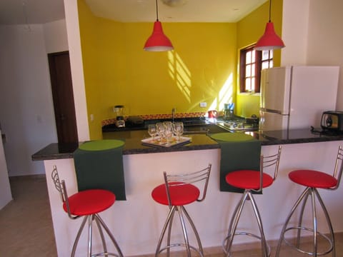 Basic Villa | Private kitchen | Stovetop, cookware/dishes/utensils, freezer