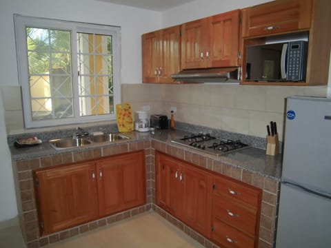 Apartment, 1 Bedroom | Private kitchen | Full-size fridge, microwave, stovetop, coffee/tea maker