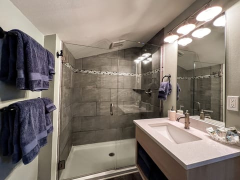 Premium Studio | Bathroom | Shower, hair dryer, towels