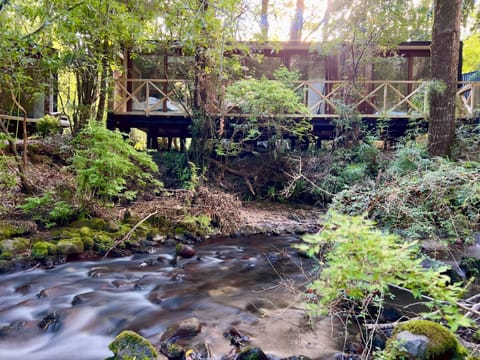 Premium Loft, Multiple Beds, River View