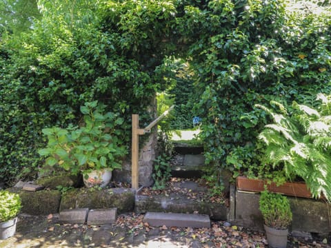 Cottage | Property grounds