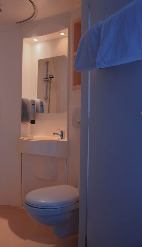 Shower, eco-friendly toiletries, hair dryer, towels