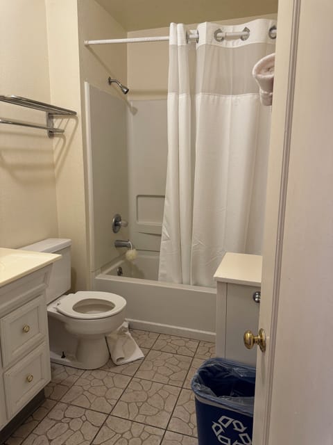 Family Apartment | Bathroom