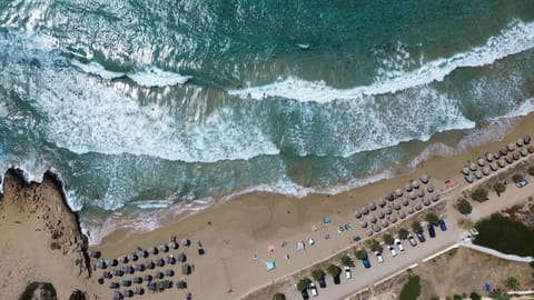 On the beach, sun loungers, beach umbrellas