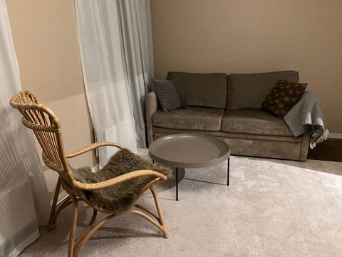 Apartment, 1 Bedroom, Terrace | Living area