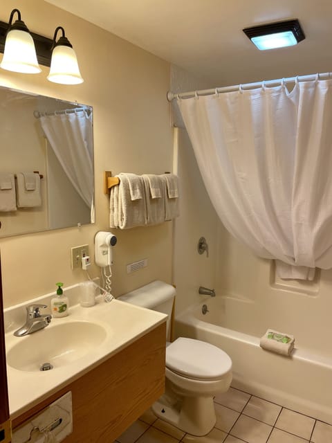 Family Room (No Pets) | Bathroom | Combined shower/tub, free toiletries, hair dryer, towels