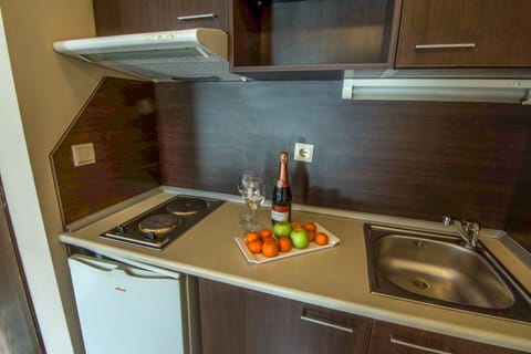 Apartment, 1 Bedroom, Smoking, Balcony | Private kitchen