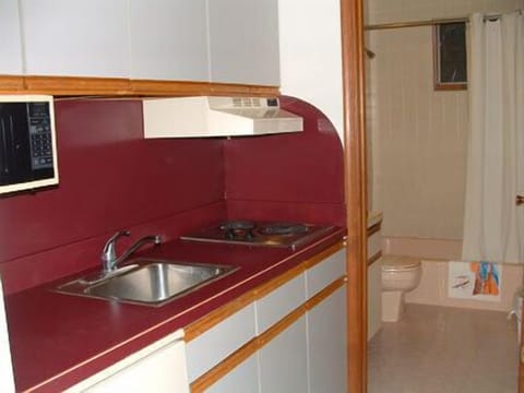 Executive Suite, 1 Bedroom, Kitchenette | Private kitchen | Fridge, microwave