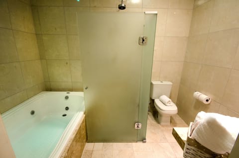 Suite (Master) | Bathroom | Shower, free toiletries, hair dryer, towels