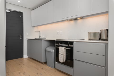 Grand Studio | Private kitchen | Fridge, microwave, oven, stovetop