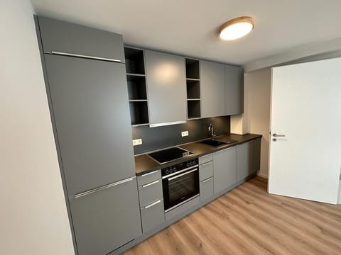 Full-size fridge, oven, stovetop, dishwasher