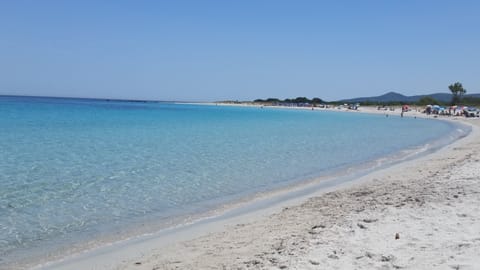 Beach nearby, white sand, 2 beach bars