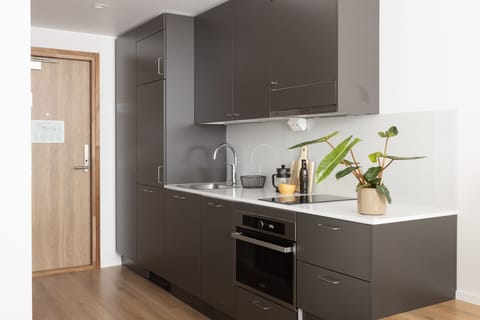 Spacious studio with loft | Private kitchen | Full-size fridge, microwave, oven, stovetop