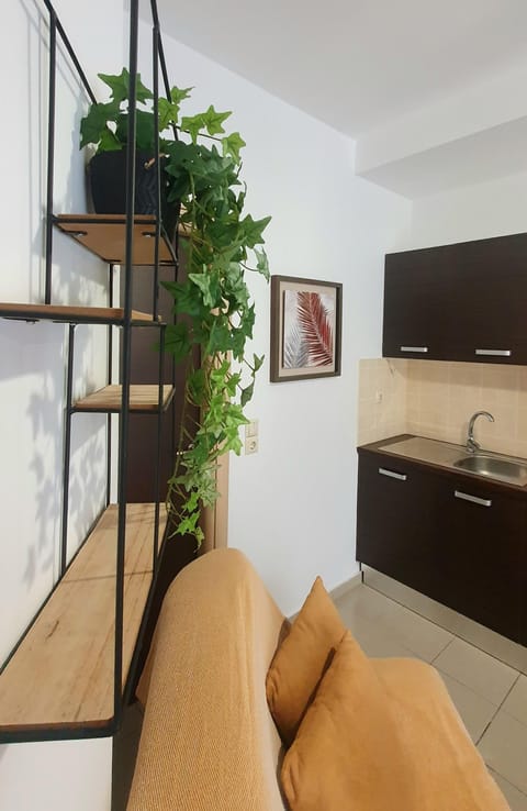 Apartment | 1 bedroom