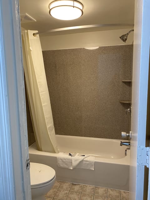 Separate tub and shower, hair dryer, towels