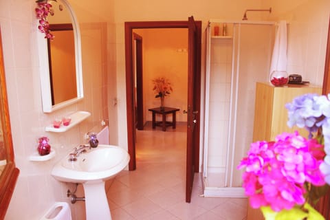 Free toiletries, hair dryer, bidet, towels