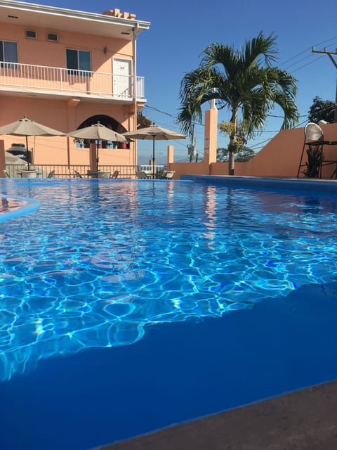 Outdoor pool, open 9 AM to 8 PM, pool umbrellas, sun loungers