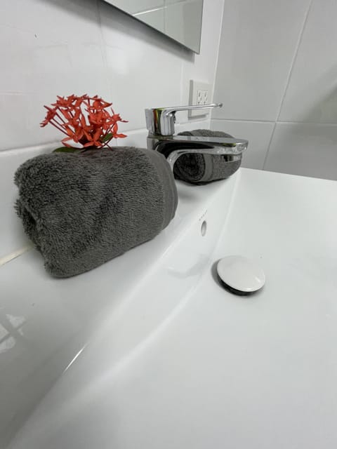 Shower, hydromassage showerhead, towels, soap