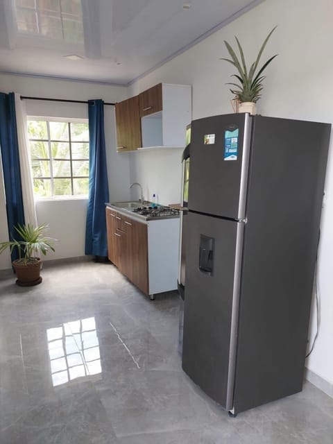 Family Apartment | Private kitchen | Full-size fridge, dishwasher, blender, cookware/dishes/utensils