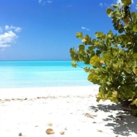 Beach nearby, white sand, beach towels