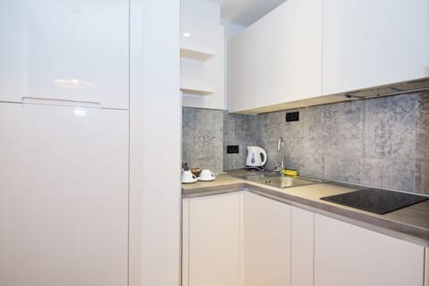 Premier Apartment, 1 Bedroom, Accessible, Terrace | Private kitchenette | Stovetop, highchair