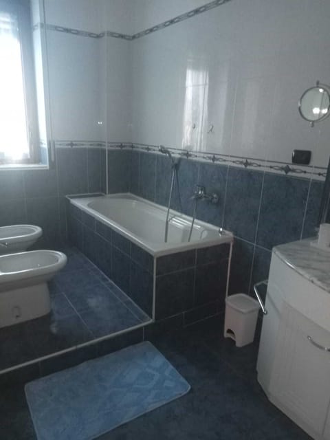 Separate tub and shower, hair dryer, bidet