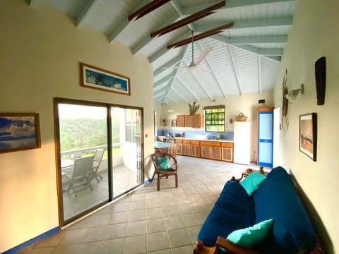 Deluxe Cottage, 2 Bedrooms, Balcony, Ocean View | Living area | TV