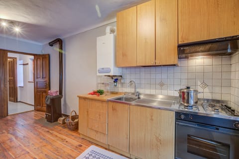 Family Apartment, 1 Bedroom (Lidia’s Lodge Apartment) | Private kitchen | Fridge, oven, stovetop, coffee/tea maker