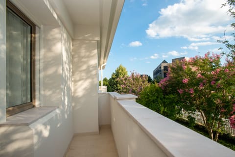 Deluxe Room with Terrace | Balcony view