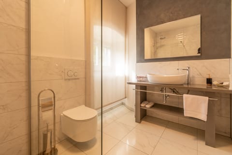 Deluxe Room | Bathroom | Shower, free toiletries, hair dryer, bathrobes