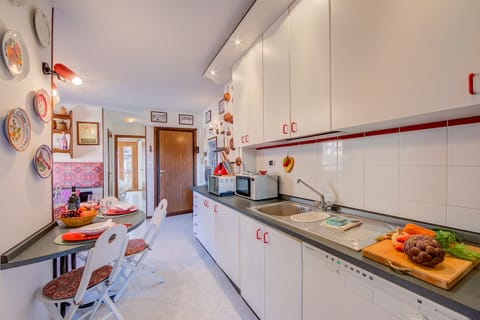 Family Apartment, 2 Bedrooms (Appartamento Villa Margherita City) | Private kitchen | Fridge, microwave, oven, stovetop