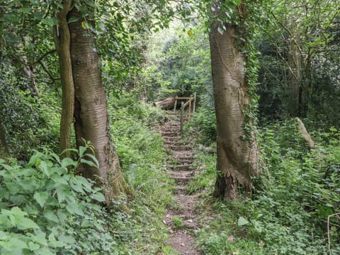 Cottage | Property grounds