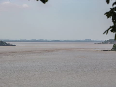 Cottage | Miscellaneous