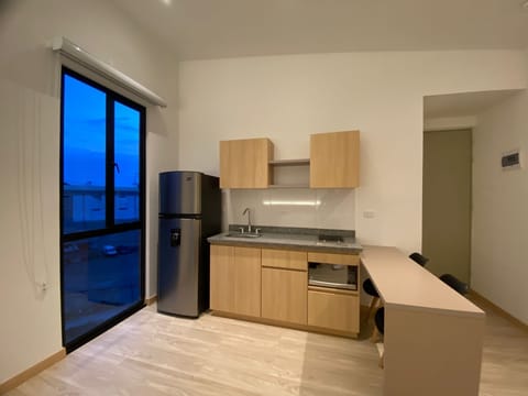 Superior Room | Private kitchen | Full-size fridge, microwave, dishwasher, blender