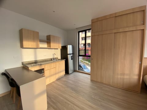 Standard Apartment | Private kitchen | Full-size fridge, microwave, dishwasher, blender