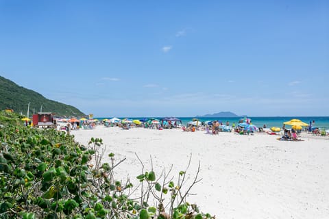 On the beach