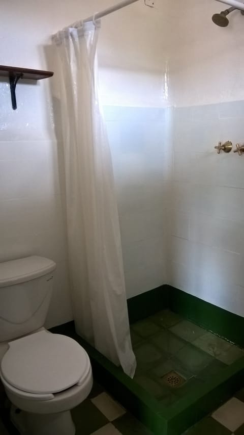 Standard Room | Bathroom | Shower, free toiletries, towels