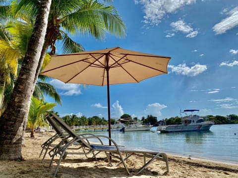 On the beach, scuba diving, snorkeling