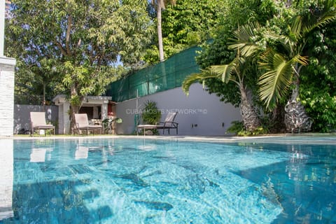 Outdoor pool, sun loungers