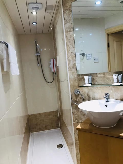 Executive Double Room | Bathroom | Rainfall showerhead, eco-friendly toiletries, hair dryer, towels