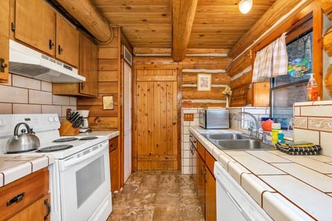 Cabin, Multiple Beds, Patio, Mountain View (The Log Home) | Private kitchen | Fridge, microwave, oven, stovetop