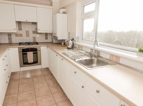 Fridge, dishwasher, toaster, cookware/dishes/utensils