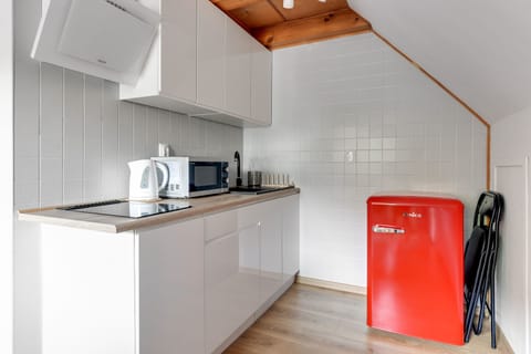 Apartment | Private kitchen | Full-size fridge, microwave, stovetop, electric kettle