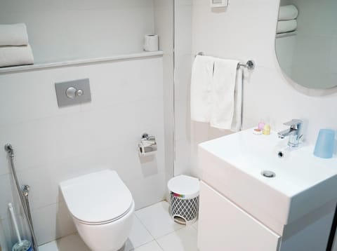 Classic Suite | Bathroom | Free toiletries