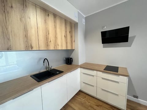 Apartment, 1 Bedroom, Balcony | Free WiFi