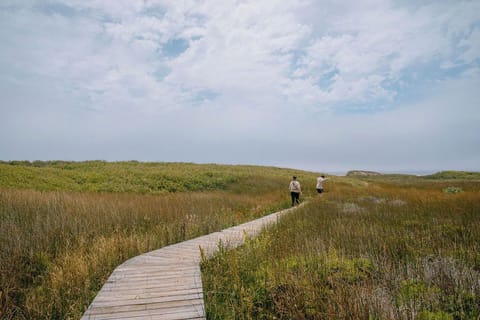 Beach nearby, white sand