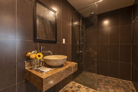 City Villa | Bathroom | Shower, rainfall showerhead, free toiletries, hair dryer